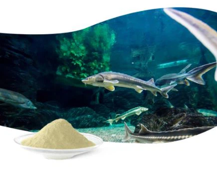 Hydrolyzed Marine Collagen Powder