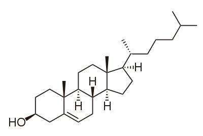 Phytosterol