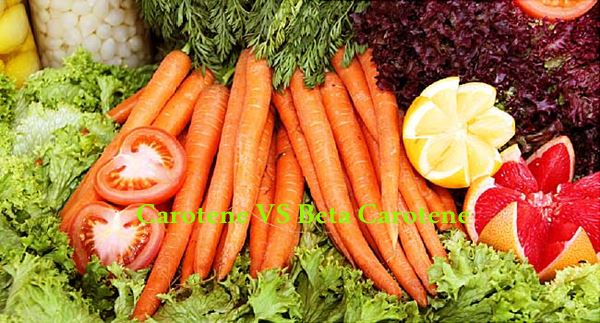 Carotene And Beta Carotene