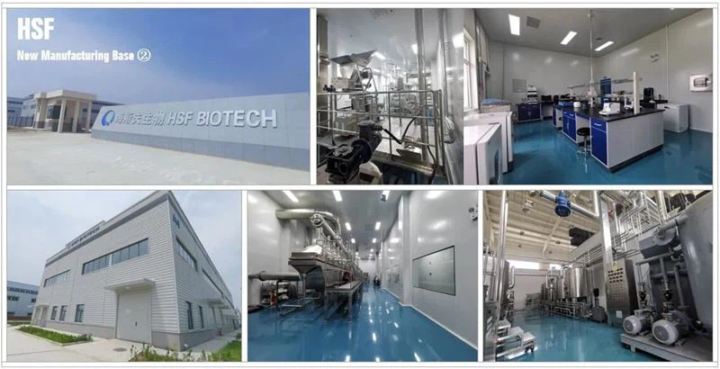 HSF Manufacturing Base-2