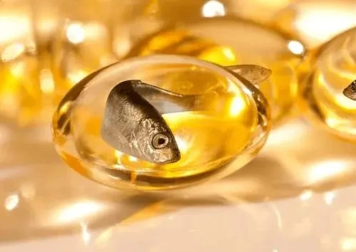 Fish Oil High in DHA