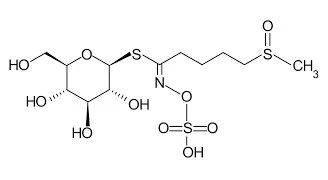 glu structure