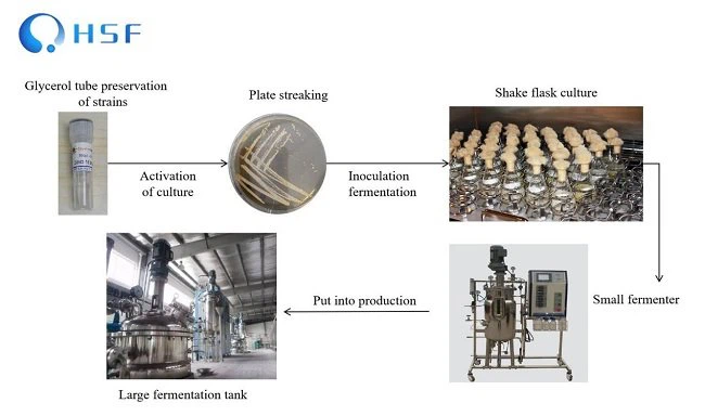 Fermented PRODUCT Flow chart