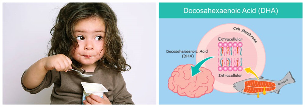 infant brain development infant brain development