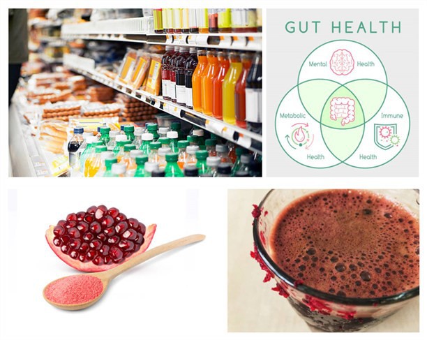 Application of Fermented Pomegranate Powder Application of Fermented Pomegranate Powder