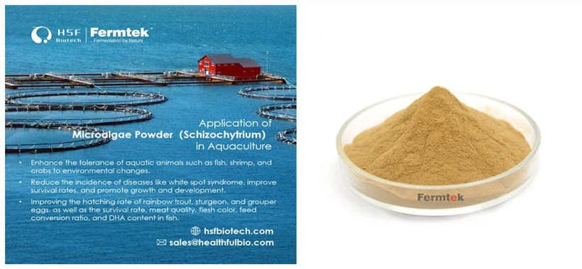 HSF-fish food HSF-fish food