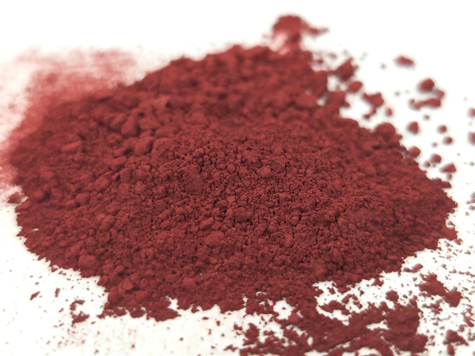 Aronia Chokeberry Extract Powder suppliers