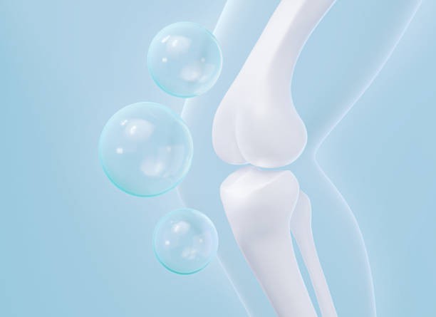 istockphoto-1871218488-612x612 istockphoto-1871218488-612x612