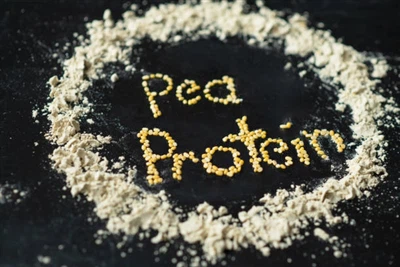 Pea Protein Powder vs. Whey: Which is Better?