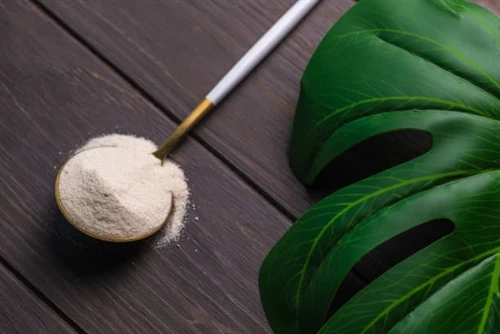 Is Plant-Based Collagen as Good?