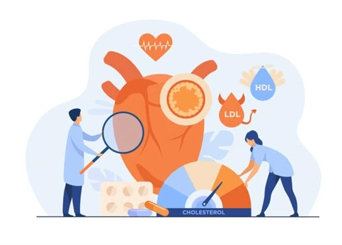 Is it worth taking plant sterols to lower cholesterol?
