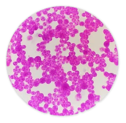 info-362-354 info-362-354