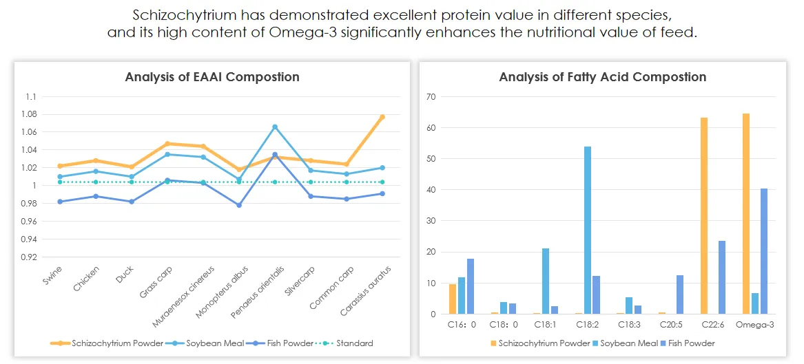 info-1167-529 info-1167-529
