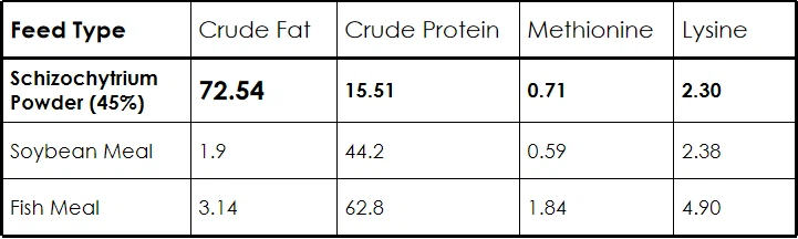 info-721-216 info-721-216