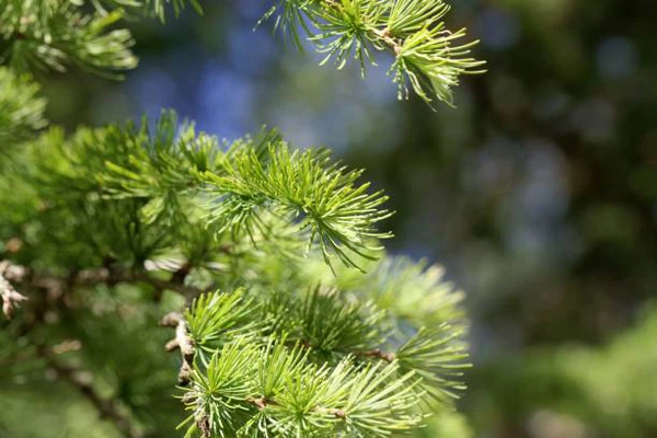 product-612-408 product-612-408