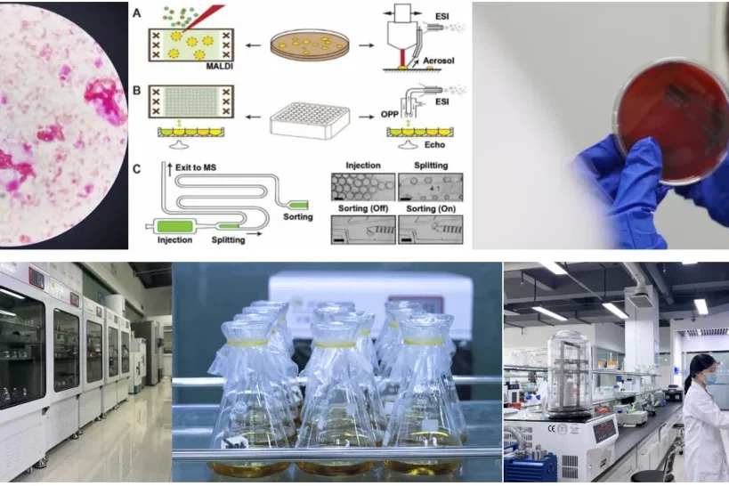 product-819-546 product-819-546