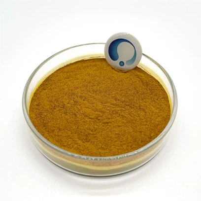 product-2554-2554 product-2554-2554
