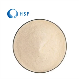 Aloe Vera Gel Powder