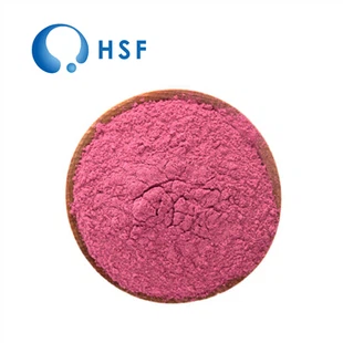 Blueberry Extract Powder