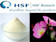 GMP Certified New Product Omega 369 Vegetarian Softgel Halal