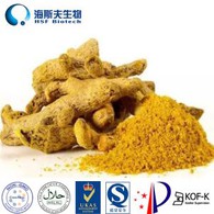 High Quality Curcumin 95% Powder Capsule on Sell OEM Service