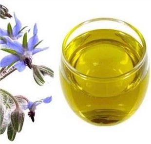 Borage Oil Liquid
