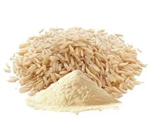 Brown Rice Protein Powder