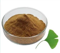 Ginkgo Biloba Extract Powder