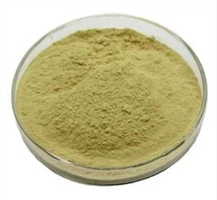 Hesperidin Powder