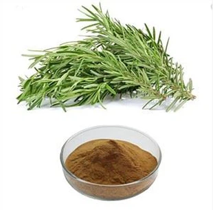Rosemary Extract Powder