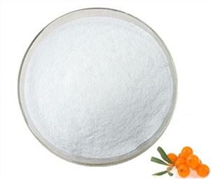Sea Buckthorn Seed Oil Powder