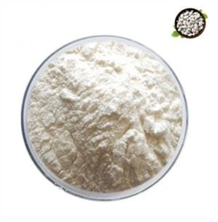 White Kidney Bean Extract Powder