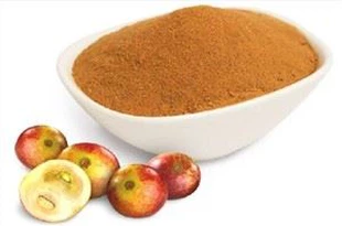 Camu camu extract powder