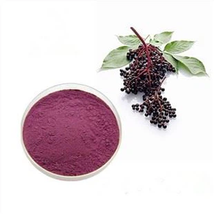 Elderberry Extract Powder