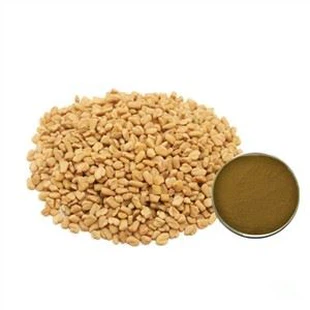 Fenugreek Extract Powder