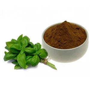 Holy Basil Extract Powder