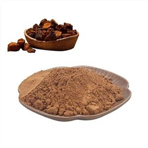 Chaga mushroom extract powder