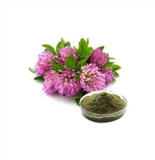 Red clover extract powder