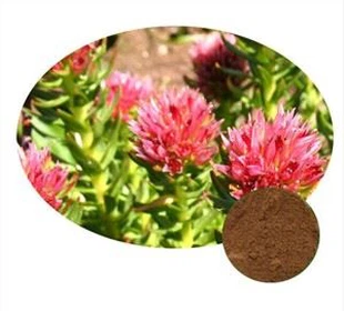 Rhodiola Rosea extract powder