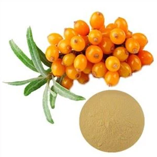 Sea buckthorn extract powder
