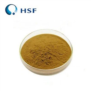 Fermented Green Tea Extract Powder