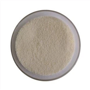 Pine Tree Plant Sterols