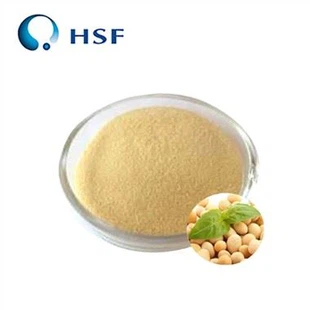 Soy Lecithin Powder