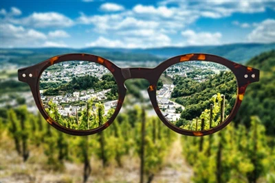 Nutrients and Myopia