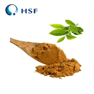 Tea Polyphenols Powder